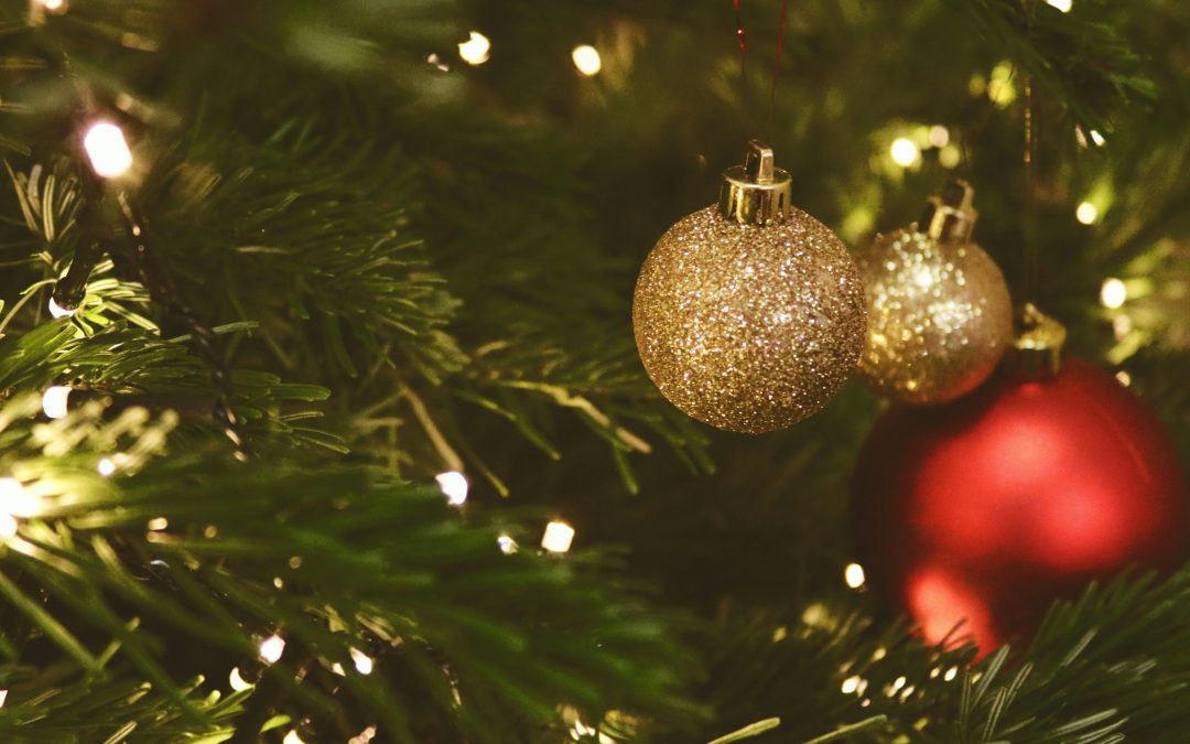 Il Fondo di Garanzia non si ferma mai: tempo di bilanci e di auguri!